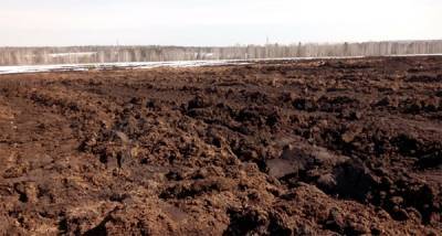 Среднеуральская птицефабрика заплатит почти 12 млн рублей за вред окружающей среде