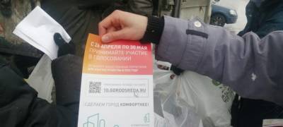 Волонтеры вышли на улицы агитировать за благоустройство городов и поселков Карелии