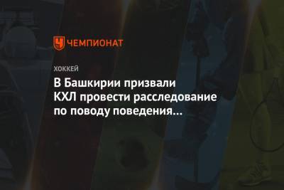 В Башкирии призвали КХЛ провести расследование по поводу поведения болельщиков «Ак Барса»