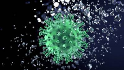 За сутки коронавирус выявлен у 91 липчанина