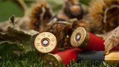 Стрелявшие из автомата Калашникова в новогодние праздники получили условный срок