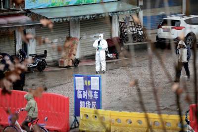 Торговля животными в Китае: у ВОЗ новая версия распространения коронавируса