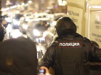 МВД Петербурга «потеряло» силовика, ударившего женщину на митинге