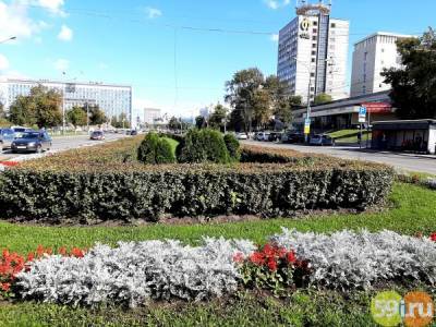 Пермь город успешной жизни: Пермские управленцы планируют масштабное преобразование городской среды