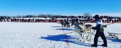 В Нарьян-Маре прошли традиционные гонки на оленьих упряжках