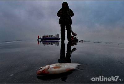 В МЧС напомнили жителям Ленобласти о небезопасной весенней рыбалке