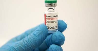 Документы для регистрации вакцины от COVID-19 "Спутник Лайт" готовы