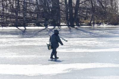 Труп пропавшего под Воронежем месяц назад мужчины нашёл рыбак