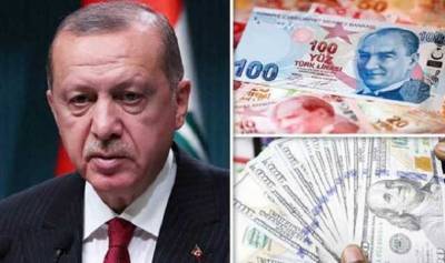 Турецкая лира рухнула после решения Эрдогана