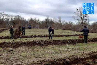 В Магарамкентском районе высадили 620 саженцев деревьев