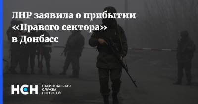 ЛНР заявила о прибытии «Правого сектора» в Донбасс