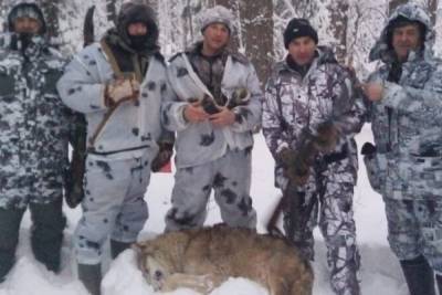В Макарьевском районе Костромской области охотники три дня травили одного волка