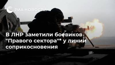 В ЛНР заметили боевиков "Правого сектора"* у линии соприкосновения