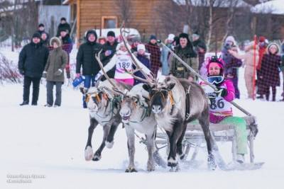 Соревнования по национальным видам спорта 86-го Праздника Севера состоялись в Ловозере