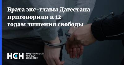 Брата экс-главы Дагестана приговорили к 12 годам лишения свободы
