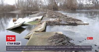 Река Днепр через несколько лет может стать болотом: что нашли эксперты