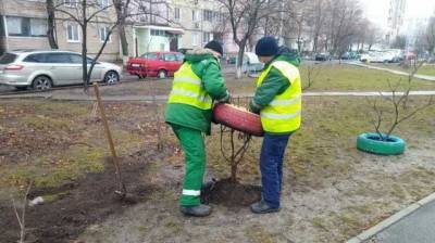В Киеве коммунальщики решили убрать во дворах все использованные покрышки