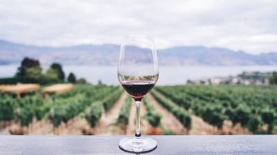 Винодельня в Сономе предлагает новому работнику бесплатное жилье в Калифорнии и $10 тыс. в месяц