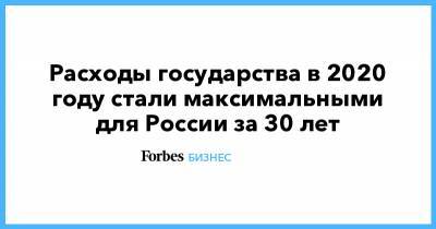 Расходы государства в 2020 году стали максимальными для России за 30 лет