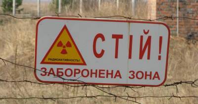 В Чернобыльской зоне отчуждения зафиксировали вымирание воробьев