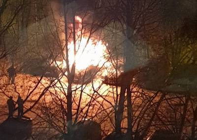 Один автомобиль сгорел и еще два пострадали от огня в Петербурге