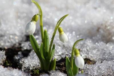 Кроме шуток: весна в Костромской области начнется с 1 апреля