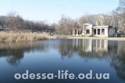 В мэрии Одессы намерены привести в порядок Дюковский парк (видео)