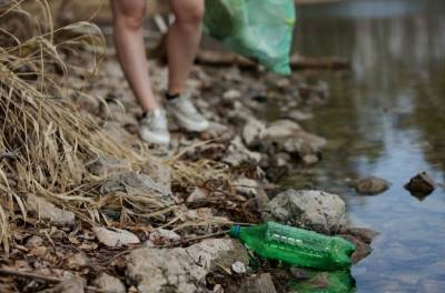Выставки, лекции и сбор пластиковых крышек: стартовали дни защиты от экологической опасности