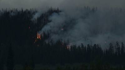 Синоптики спрогнозировали пониженный уровень пожарной опасности в Приморье