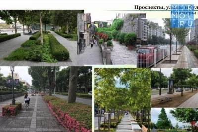 Главархитектура Дагестана представила проект озеленения Махачкалы