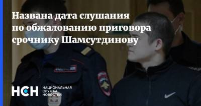 Названа дата слушания по обжалованию приговора срочнику Шамсутдинову