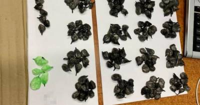 СБУ раскрыла банду, перевозившую наркотики в детских игрушках (ФОТО)