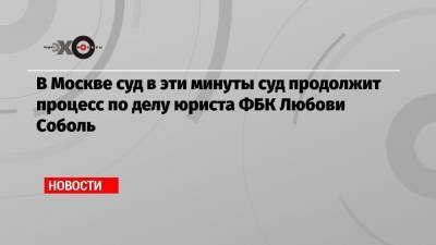 В Москве суд в эти минуты суд продолжит процесс по делу юриста ФБК Любови Соболь