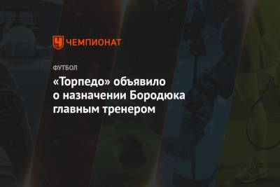 «Торпедо» объявило о назначении Бородюка главным тренером