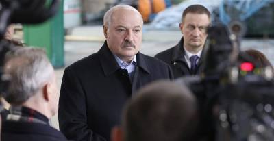 "Не загубить стратегическое направление экономики" - что Александр Лукашенко ждет от работы кожевенного завода в Гатово