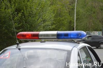 В Магнитогорске пьяный водитель сбил полицейского и скрылся