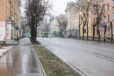 Резкое потепление прогнозируют синоптики в Псковской области 24 марта