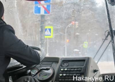 Жители поселка пожаловались на сокращение автобусных рейсов в Челябинск