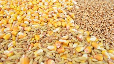 Украинские хранилища зерна пустеют
