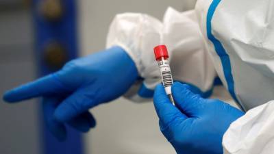 В Петербурге провели более 12 тысяч тестов на коронавирус за сутки