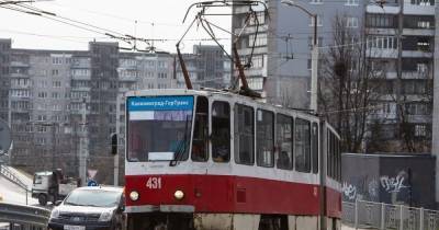 В Калининграде планируют восстановить ещё один трамвайный маршрут