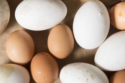 Пригодны ли гусиные яйца для потребления: специалисты пролили свет