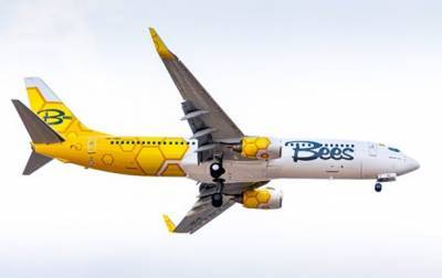 Украинский лоукост Bees Airline получил права на 29 маршрутов
