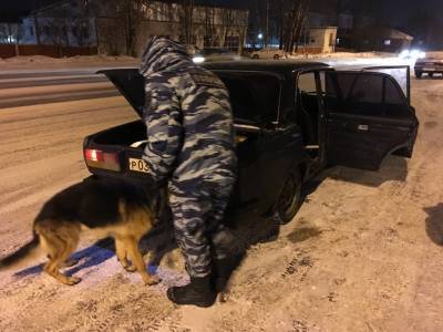 За время трехдневного рейда в Сыктывкаре автоинспекторы выявили десять нетрезвых водителей