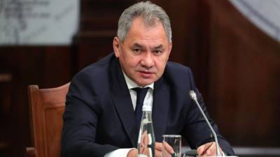 Шойгу обсудил с министром обороны Армении военно-политическую ситуацию в НКР