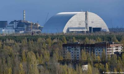 В Чернобыле начали исчезать воробьи