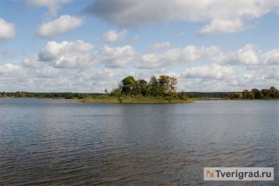 Мошенники требовали с бизнесмена 35 млн рублей за покупку острова в Тверской области