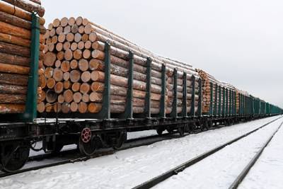 Российский лес застрял на пути в Китай