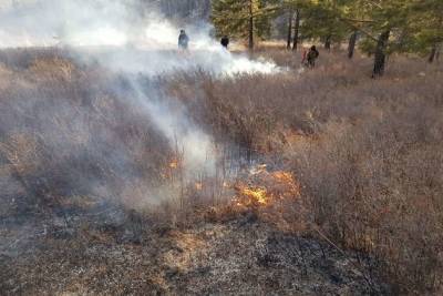 Первый лесной пожар в 2021 году произошёл в Забайкалье
