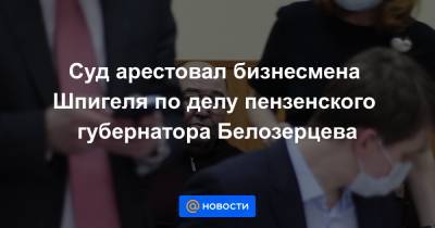 Суд арестовал бизнесмена Шпигеля по делу пензенского губернатора Белозерцева